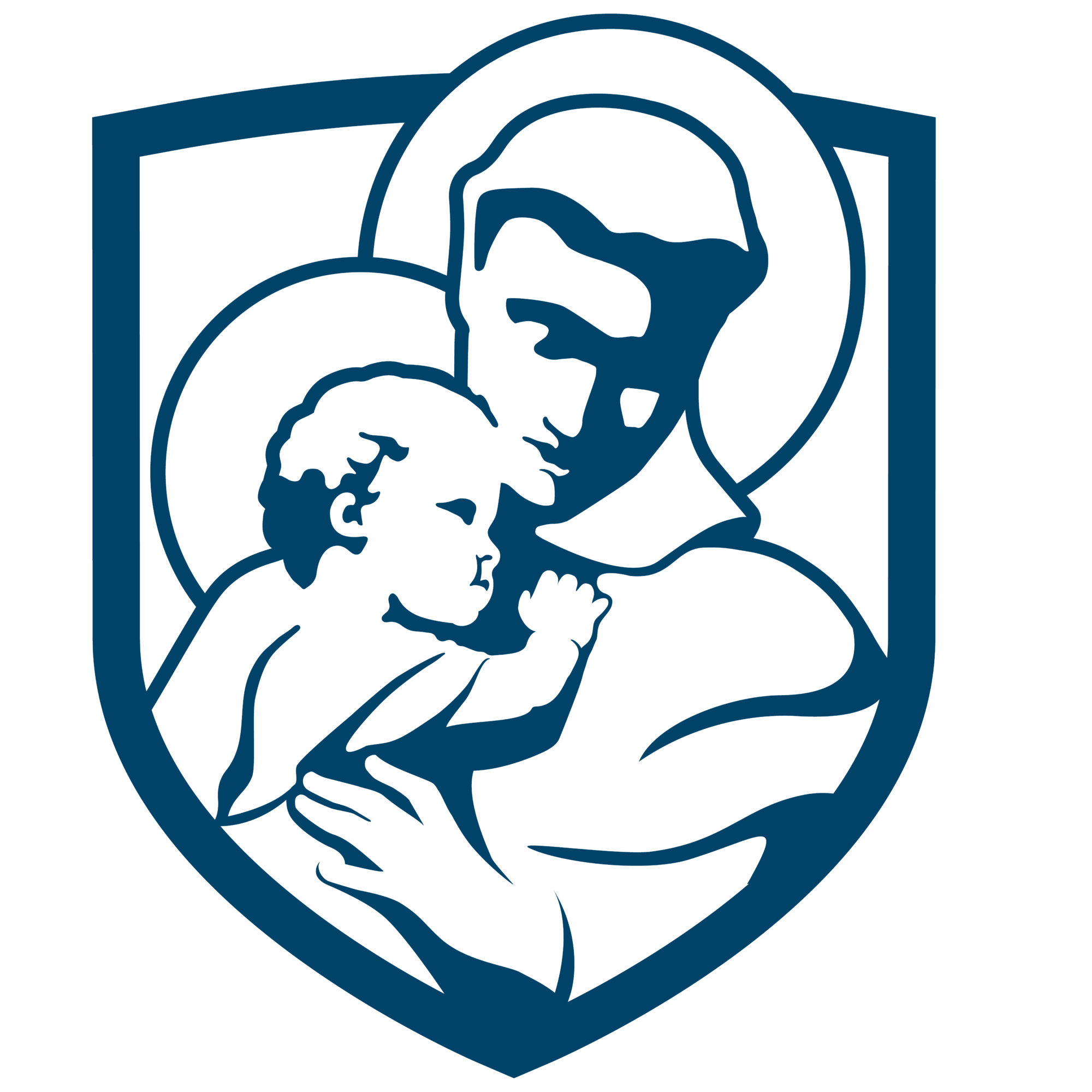 The Shield